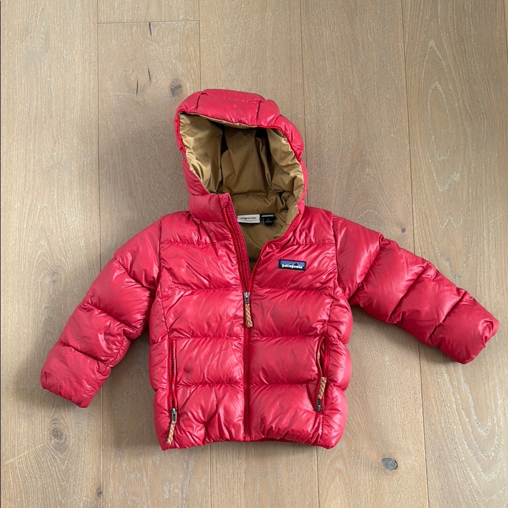 Patagonia Patagonia Hi-Loft Down Sweater™ Hoody in 4T